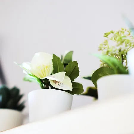 The Way Opera Apartamento *